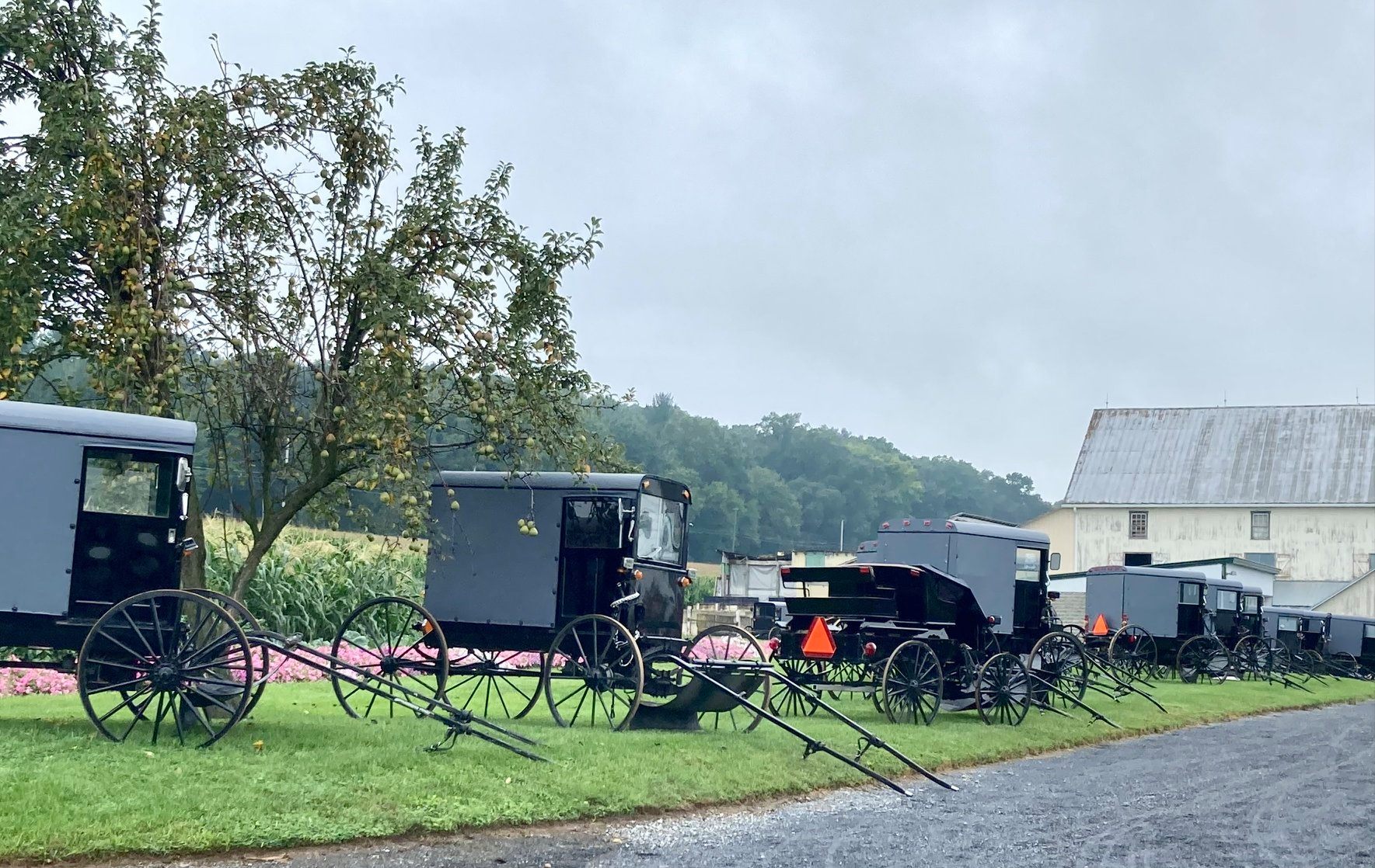 the amish farm and house