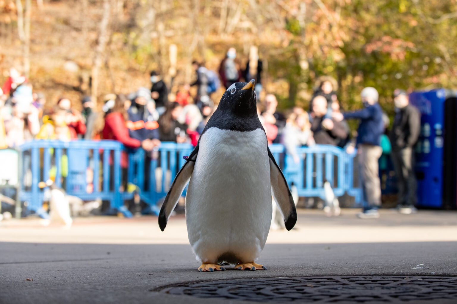 Pittsburgh Zoo & PPG Aquarium | Family Fun Pennsylvania