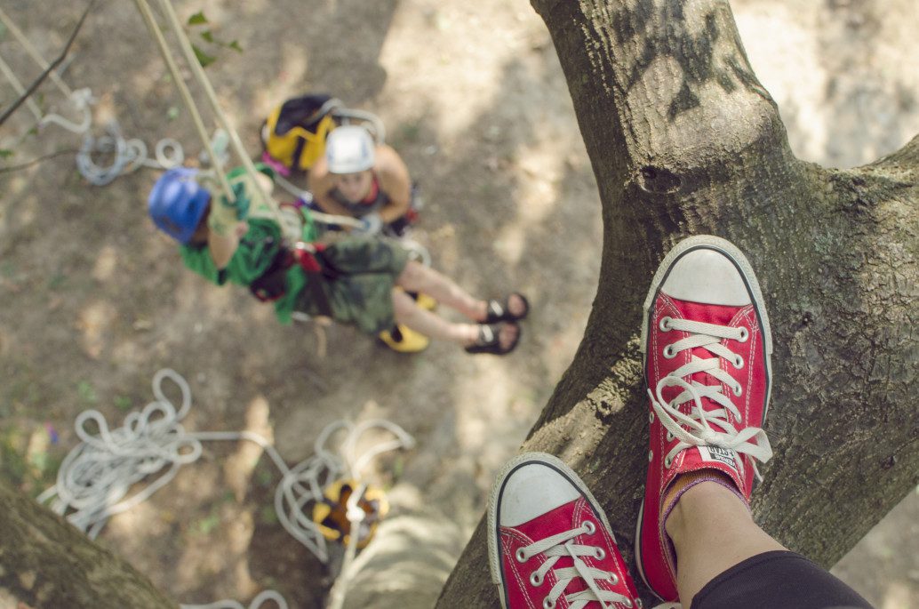 summer converse camp overhead top view chucks tree climbing in a tree from my