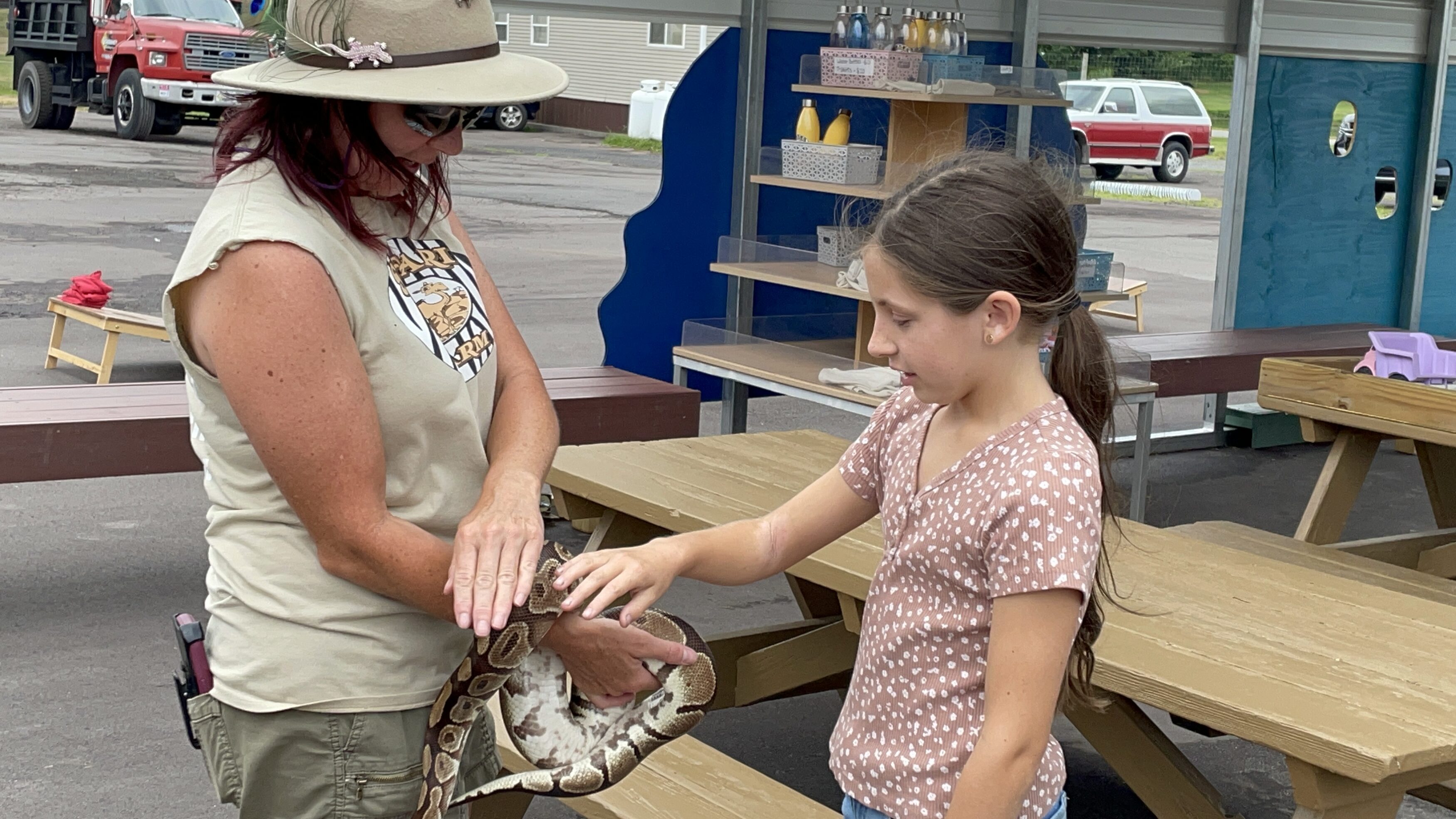 petting the snake at safari farm petting zoo