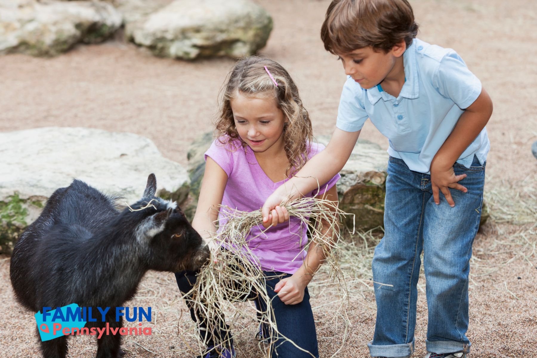petting zoo best party activities for kids (4)