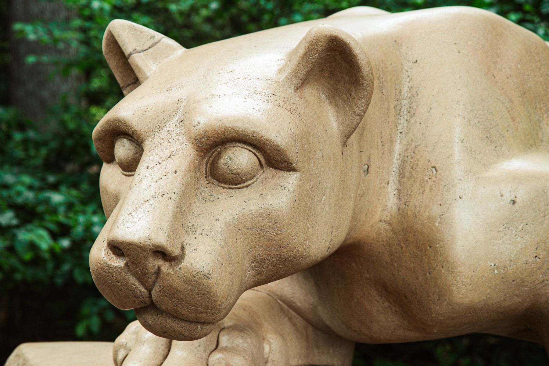 things to do in state college pa nittany lion shrine