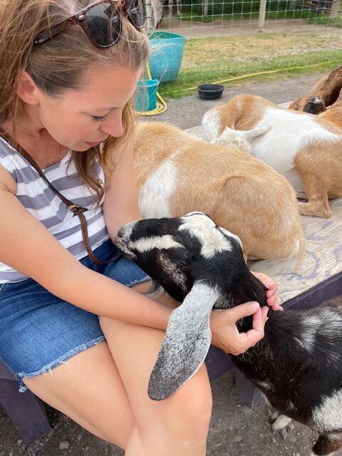 safari farm petting zoo 1 15 rotated